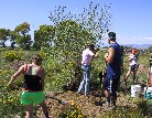 Volunteers at the Everson Ranch - Teresa Seitz