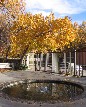 Kid's Tub in autumn - John Lorenz